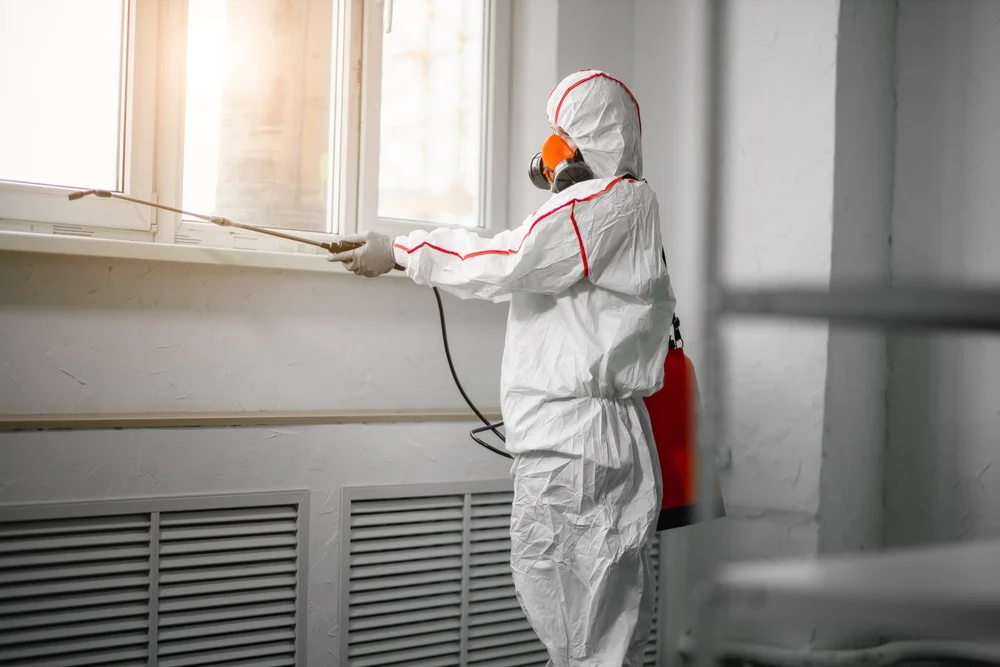 Professional mold remediation services in Alto, GA